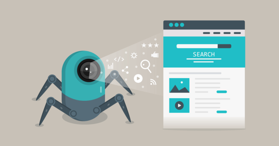 SEO Spider